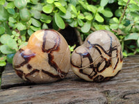 Polished Septerye Hearts x 12 From Mahajanga, Madagascar