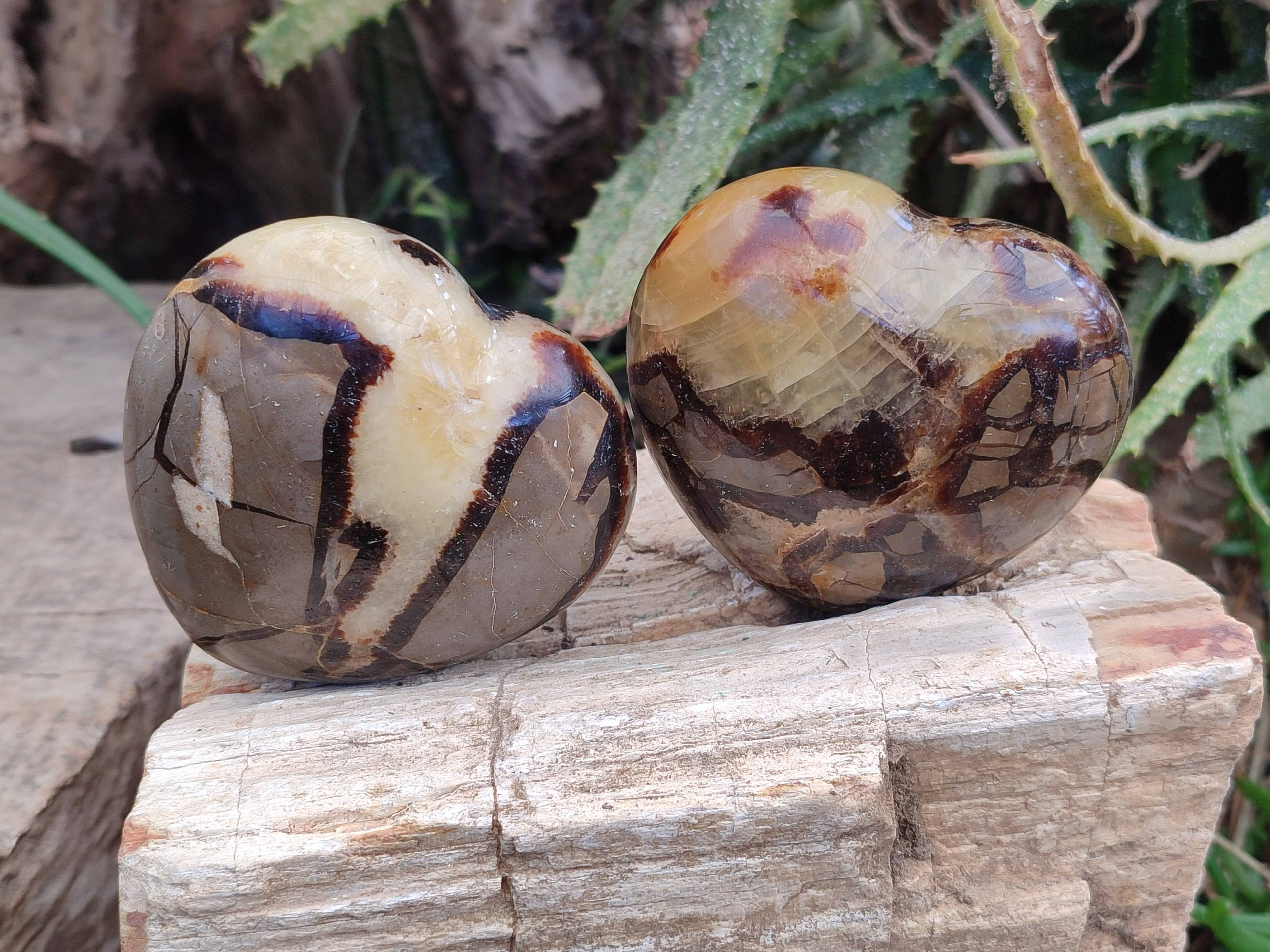 Polished Septerye Hearts x 12 From Mahajanga, Madagascar - Toprock Gemstones and Minerals 
