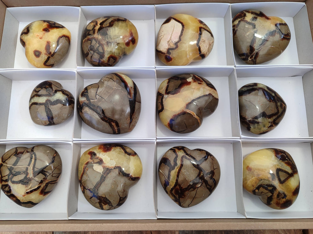 Polished Septerye Hearts x 12 From Mahajanga, Madagascar - Toprock Gemstones and Minerals 