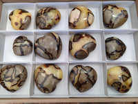 Polished Septerye Hearts x 12 From Mahajanga, Madagascar