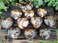 Polished Septerye Hearts x 12 From Mahajanga, Madagascar