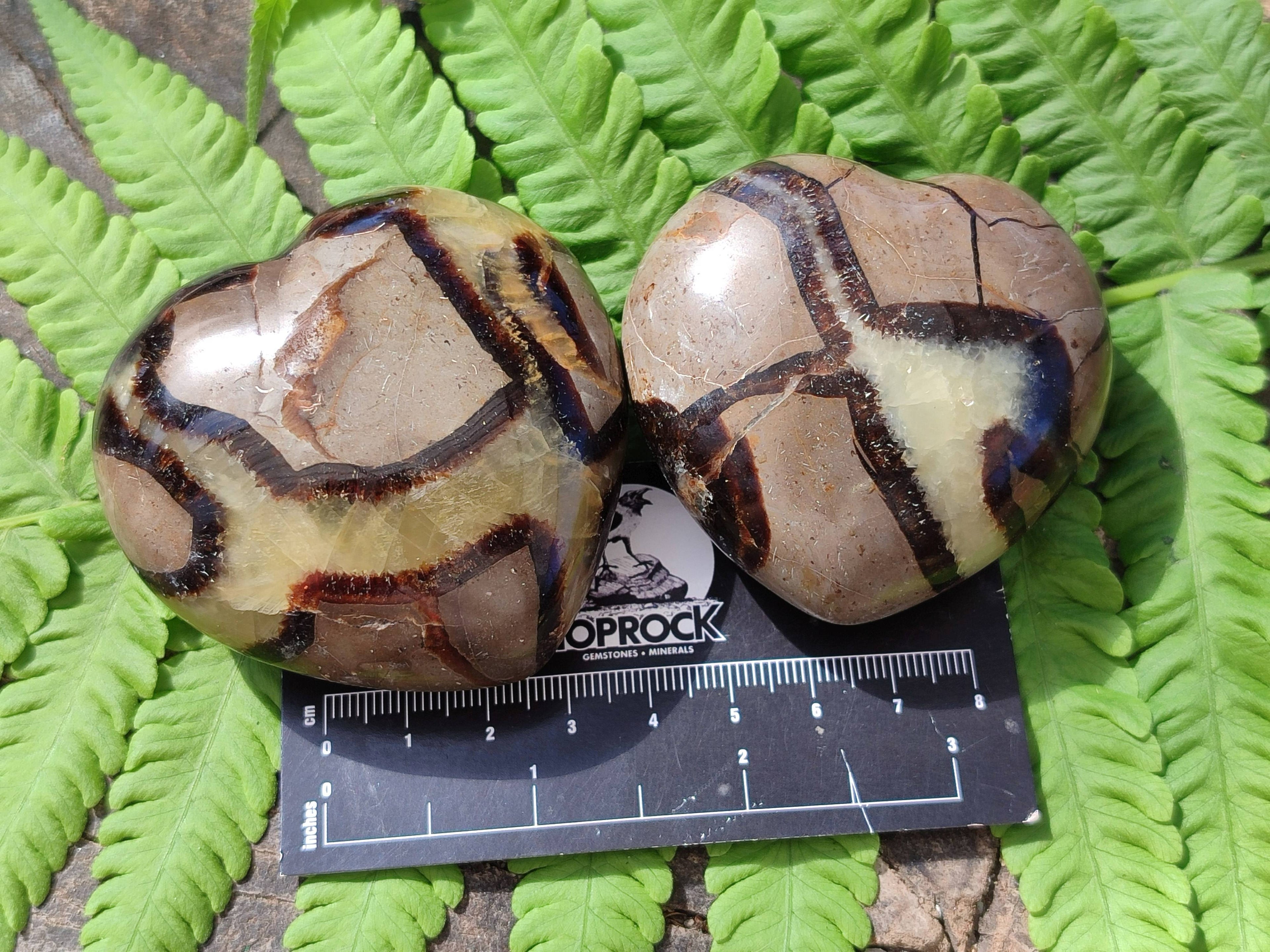 Polished Septerye Hearts x 12 From Mahajanga, Madagascar - Toprock Gemstones and Minerals 