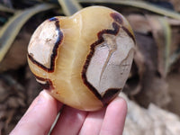 Polished Septerye Hearts x 12 From Mahajanga, Madagascar