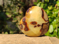 Polished Septerye Hearts x 12 From Mahajanga, Madagascar