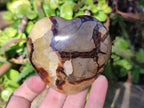 Polished Septerye Hearts x 12 From Mahajanga, Madagascar - Toprock Gemstones and Minerals 