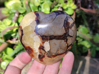Polished Septerye Hearts x 12 From Mahajanga, Madagascar
