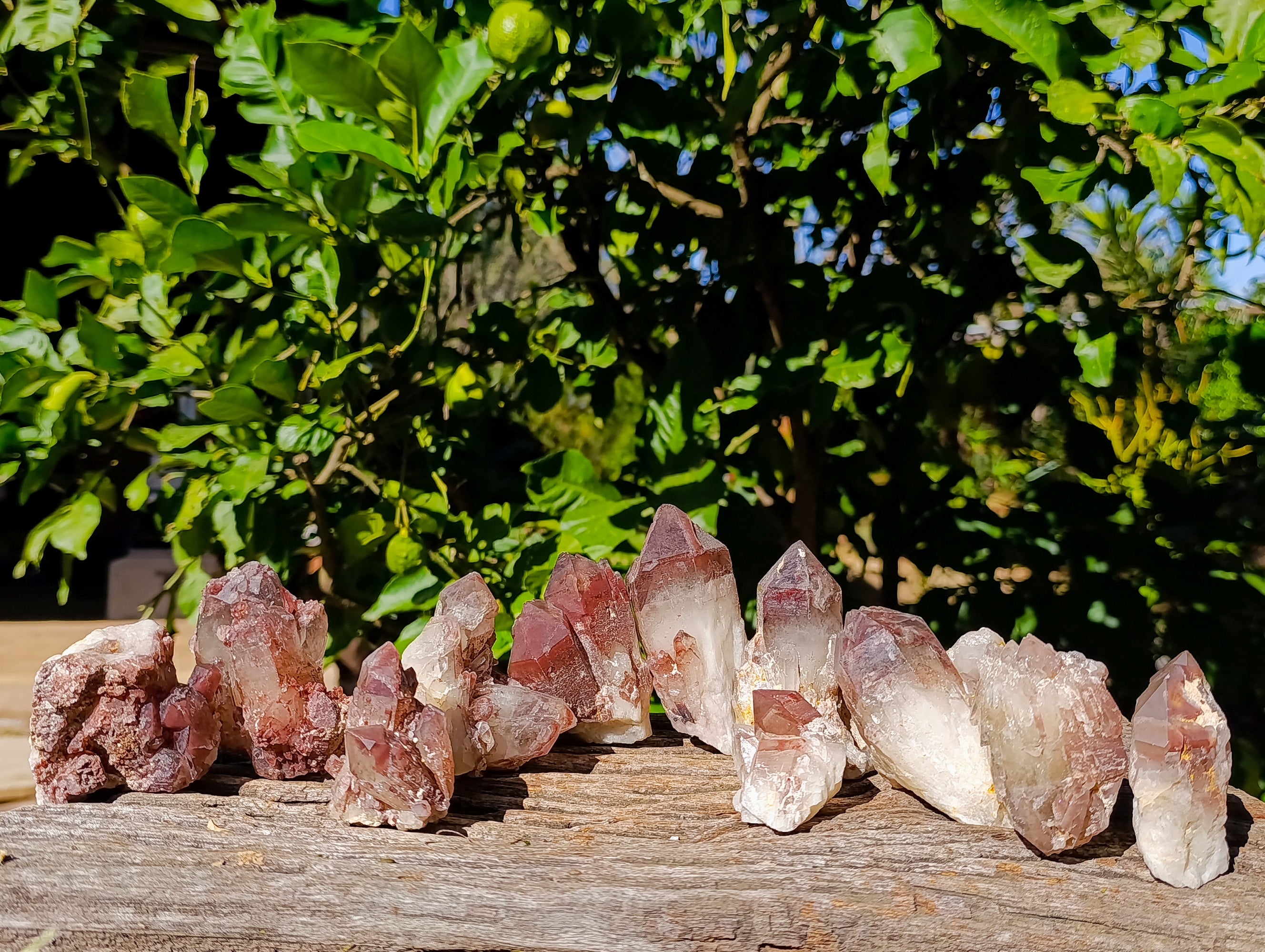 Natural Red Hematoid Quartz Clusters x 12 From Karoi, Zimbabwe - Toprock Gemstones and Minerals 