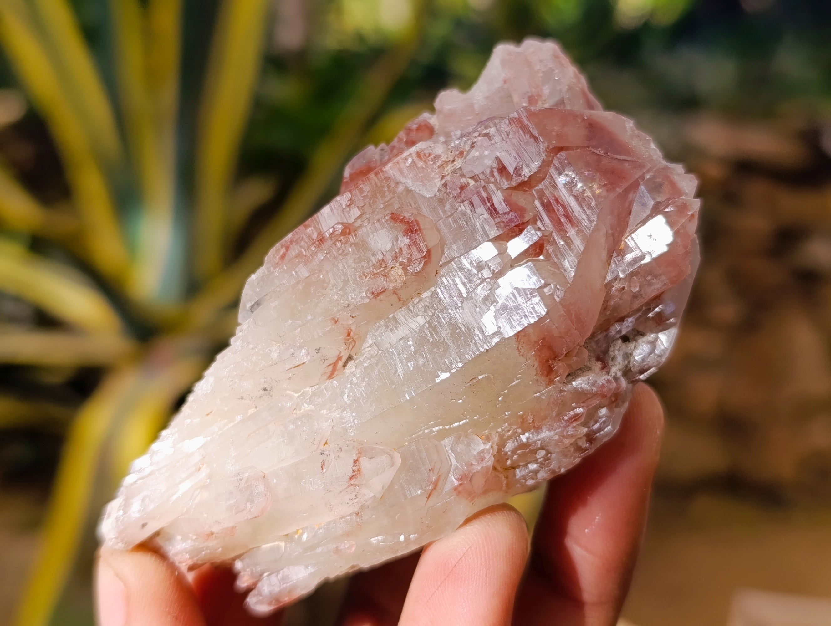 Natural Red Hematoid Quartz Clusters x 12 From Karoi, Zimbabwe - Toprock Gemstones and Minerals 
