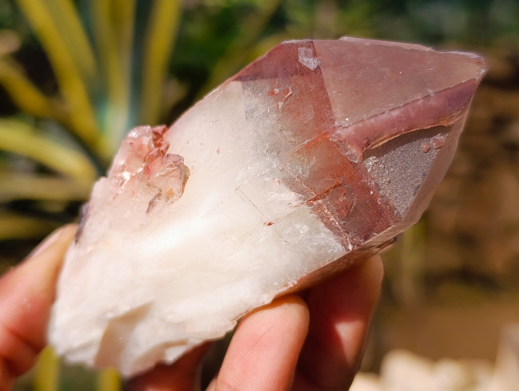 Natural Red Hematoid Quartz Clusters x 12 From Karoi, Zimbabwe - Toprock Gemstones and Minerals 
