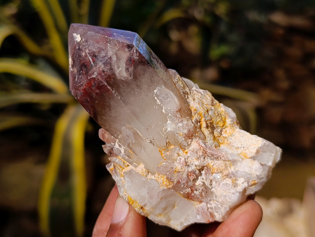 Natural Red Hematoid Quartz Clusters x 12 From Karoi, Zimbabwe - Toprock Gemstones and Minerals 