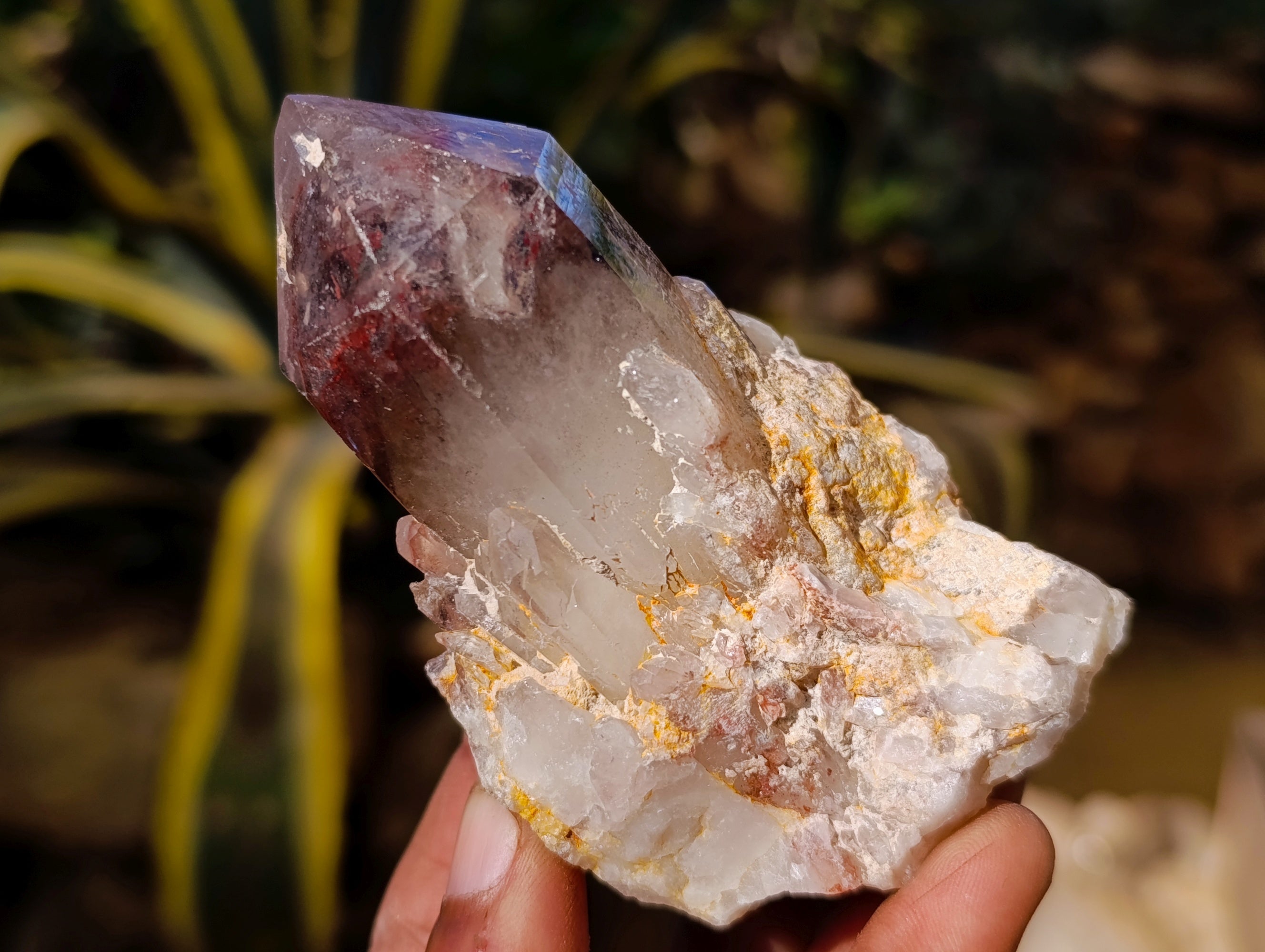 Natural Red Hematoid Quartz Clusters x 12 From Karoi, Zimbabwe - Toprock Gemstones and Minerals 