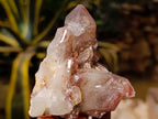 Natural Red Hematoid Quartz Clusters x 12 From Karoi, Zimbabwe - Toprock Gemstones and Minerals 