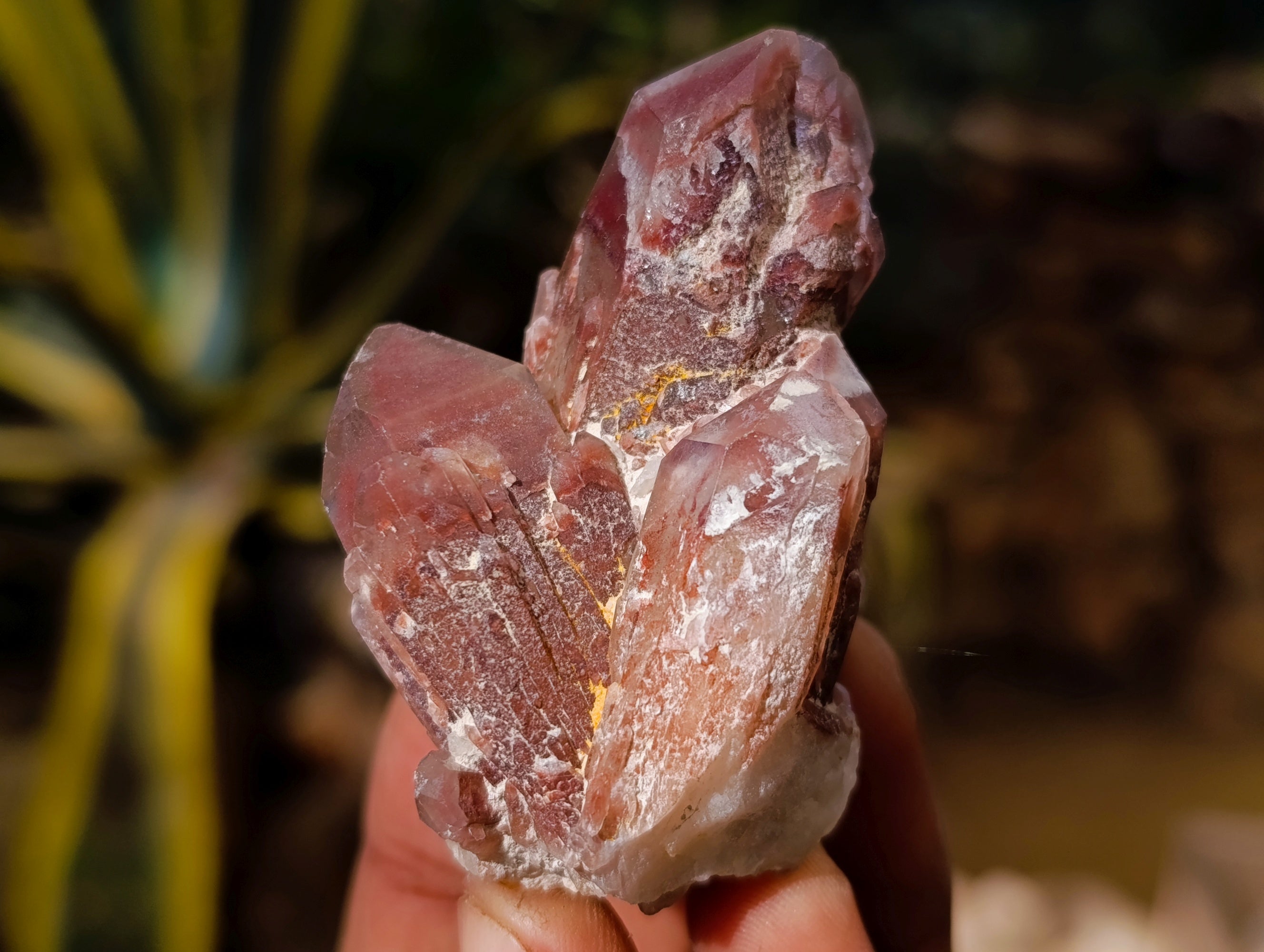 Natural Red Hematoid Quartz Clusters x 12 From Karoi, Zimbabwe - Toprock Gemstones and Minerals 