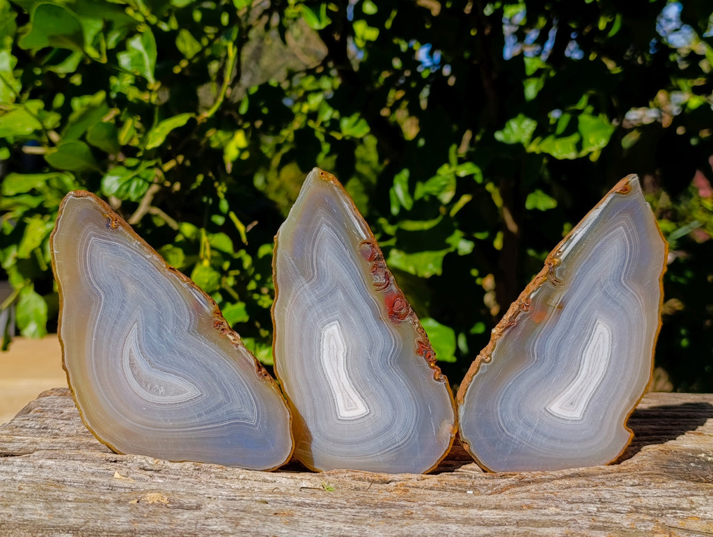 Polished Banded Agate Sliced Pairs x 6 From Madagascar - Toprock Gemstones and Minerals 