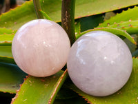 Polished Star and Lavender Rose Quartz Spheres x 3 From Ambatondrazaka, Madagascar - Toprock Gemstones and Minerals 
