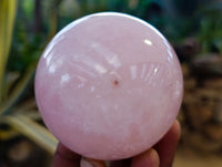 Polished Star and Lavender Rose Quartz Spheres x 3 From Ambatondrazaka, Madagascar - Toprock Gemstones and Minerals 