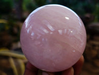 Polished Star and Lavender Rose Quartz Spheres x 3 From Ambatondrazaka, Madagascar - Toprock Gemstones and Minerals 