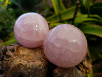 Polished Star and Lavender Rose Quartz Spheres x 3 From Ambatondrazaka, Madagascar - Toprock Gemstones and Minerals 