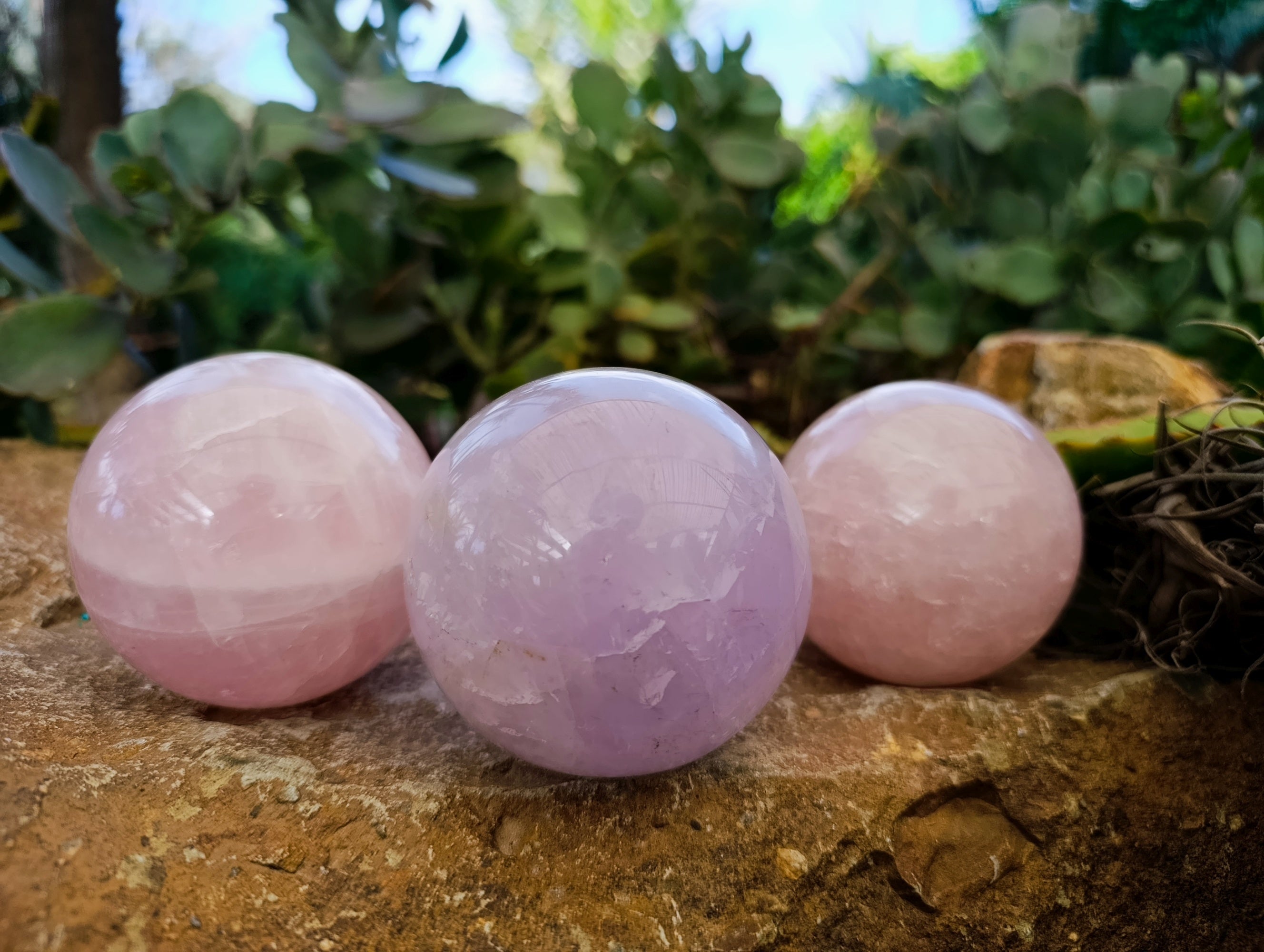 Polished Star and Lavender Rose Quartz Spheres x 3 From Ambatondrazaka, Madagascar - Toprock Gemstones and Minerals 