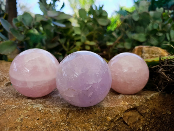 Polished Star and Lavender Rose Quartz Spheres x 3 From Ambatondrazaka, Madagascar - Toprock Gemstones and Minerals 