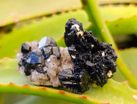 Natural Schorl Black Tourmaline Specimens with some Orthoclase, Smokey Quartz and Hyalite Opal x 35 From Erongo, Namibia - Toprock Gemstones and Minerals 