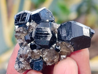 Natural Schorl Black Tourmaline Specimens with some Orthoclase, Smokey Quartz and Hyalite Opal x 35 From Erongo, Namibia - Toprock Gemstones and Minerals 