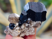 Natural Schorl Black Tourmaline Specimens with some Orthoclase, Smokey Quartz and Hyalite Opal x 35 From Erongo, Namibia - Toprock Gemstones and Minerals 