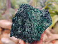 Natural Silky Malachite Specimens x 4 From Kasompe, Congo - Toprock Gemstones and Minerals 