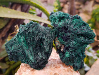 Natural Silky Malachite Specimens x 4 From Kasompe, Congo - Toprock Gemstones and Minerals 