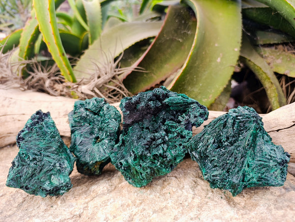 Natural Silky Malachite Specimens x 4 From Kasompe, Congo - Toprock Gemstones and Minerals 