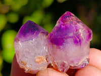 Natural Mixed selection of Minerals x 1.67 Kg Lot From Southern Africa - Toprock Gemstones and Minerals 