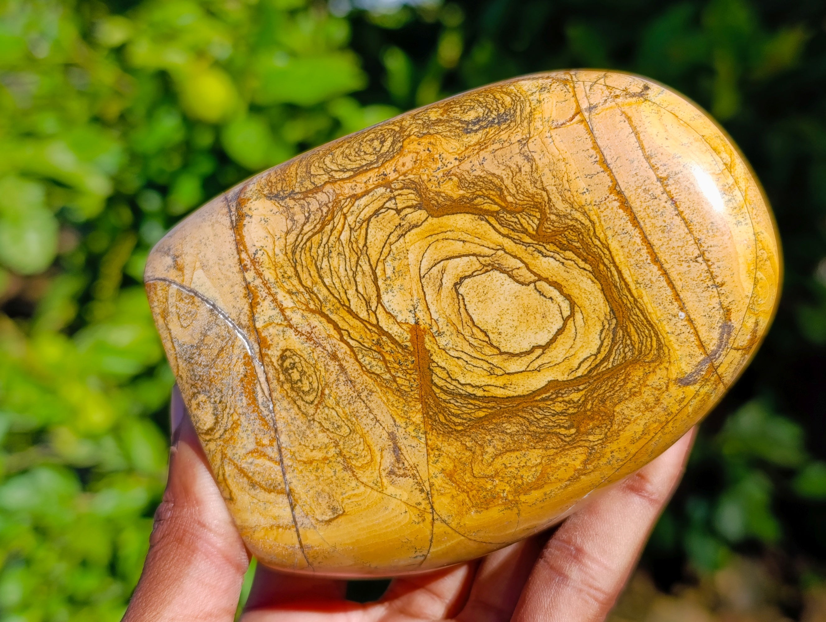 Polished Picture Stone Jasper Standing Free Forms x 3 From Ais-Ais, Namibia - Toprock Gemstones and Minerals 