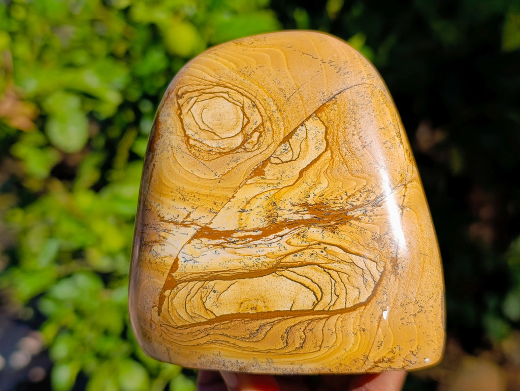 Polished Picture Stone Jasper Standing Free Forms x 3 From Ais-Ais, Namibia - Toprock Gemstones and Minerals 