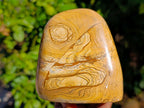 Polished Picture Stone Jasper Standing Free Forms x 3 From Ais-Ais, Namibia - Toprock Gemstones and Minerals 