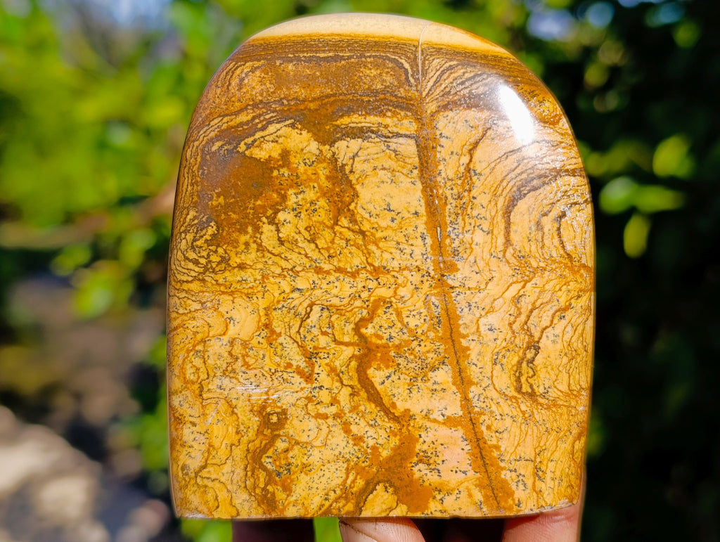 Polished Picture Stone Jasper Standing Free Forms x 3 From Ais-Ais, Namibia - Toprock Gemstones and Minerals 