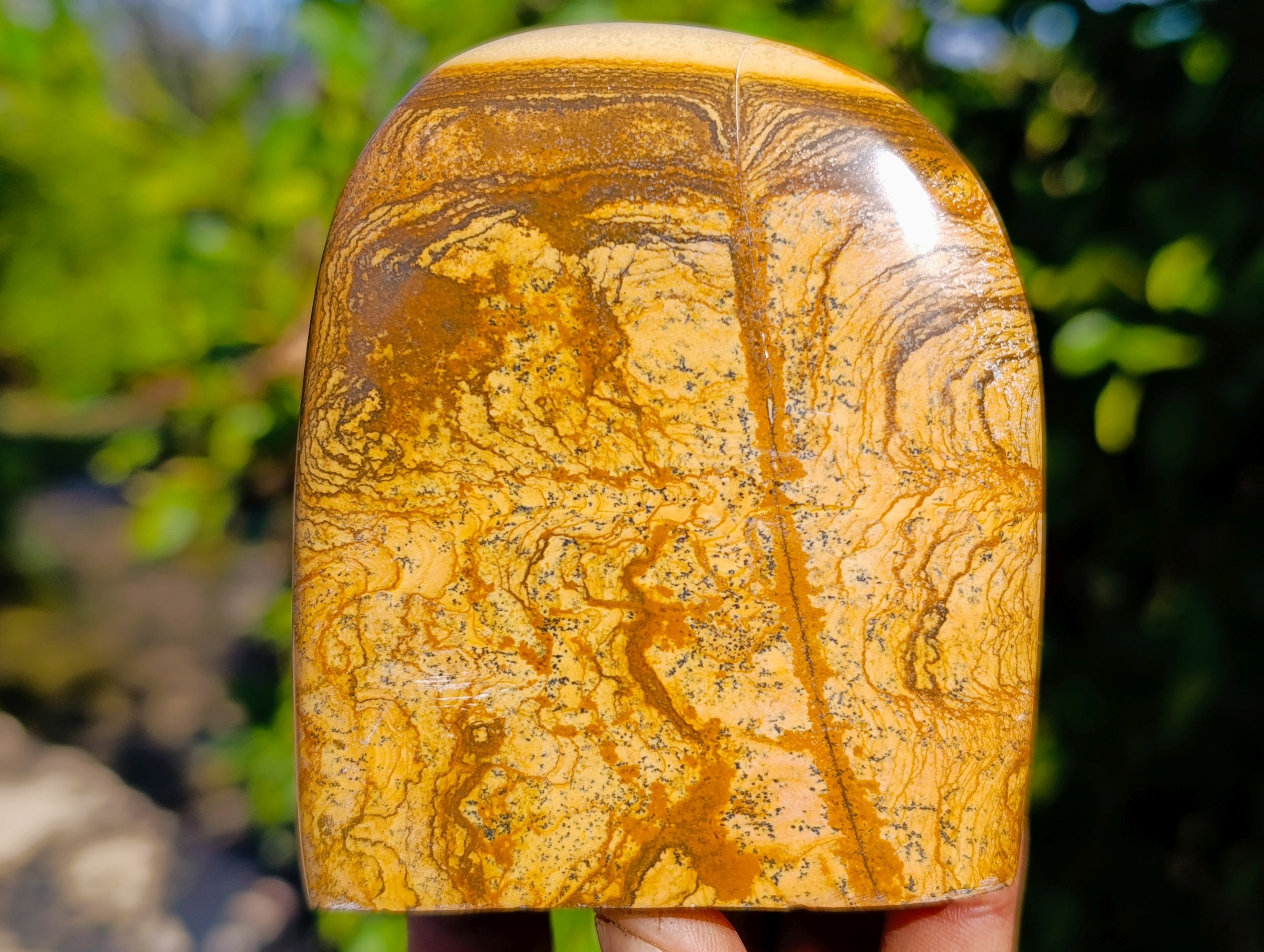 Polished Picture Stone Jasper Standing Free Forms x 3 From Ais-Ais, Namibia - Toprock Gemstones and Minerals 