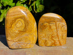 Polished Picture Stone Jasper Standing Free Forms x 3 From Ais-Ais, Namibia - Toprock Gemstones and Minerals 