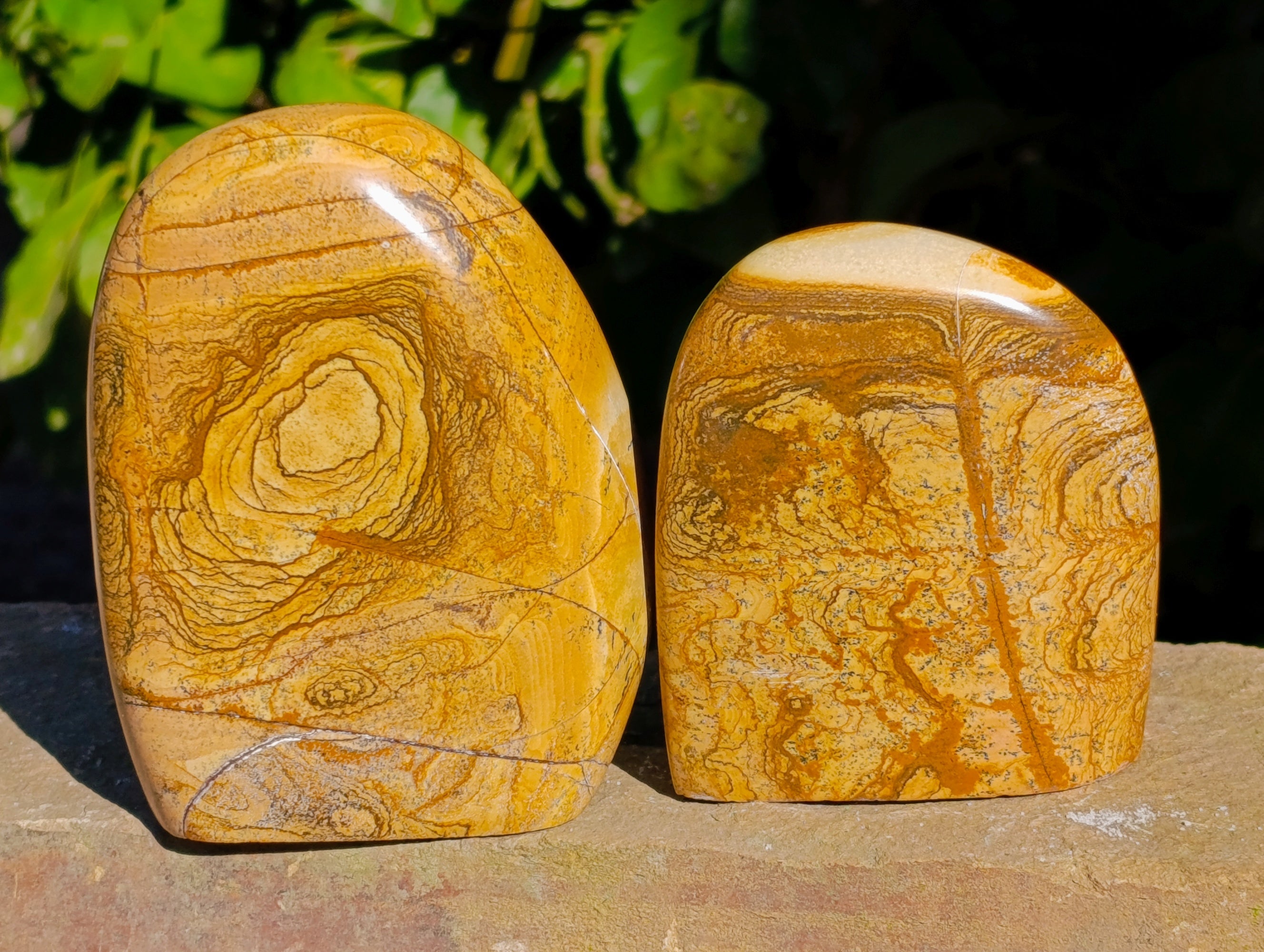 Polished Picture Stone Jasper Standing Free Forms x 3 From Ais-Ais, Namibia - Toprock Gemstones and Minerals 