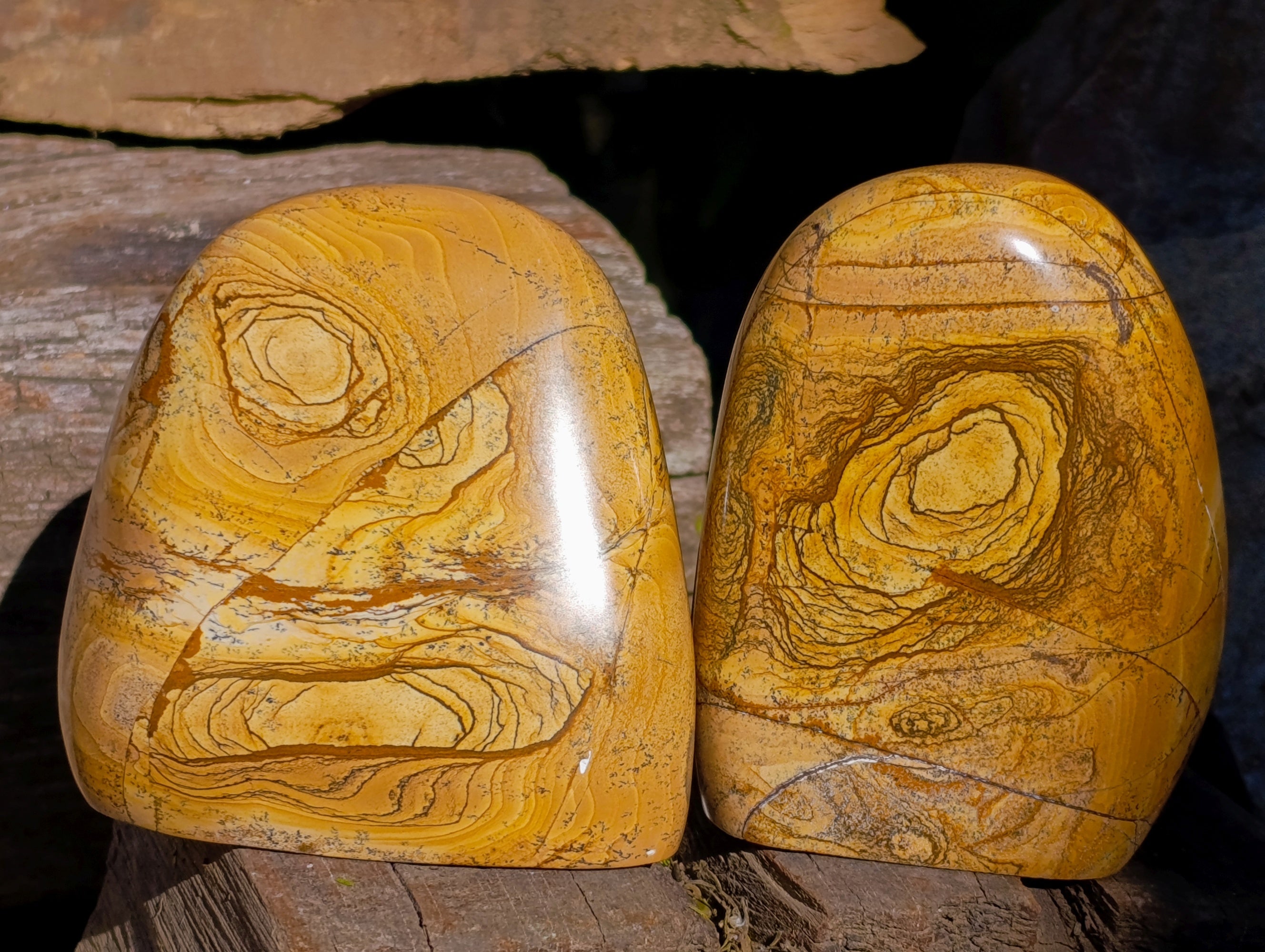 Polished Picture Stone Jasper Standing Free Forms x 3 From Ais-Ais, Namibia - Toprock Gemstones and Minerals 