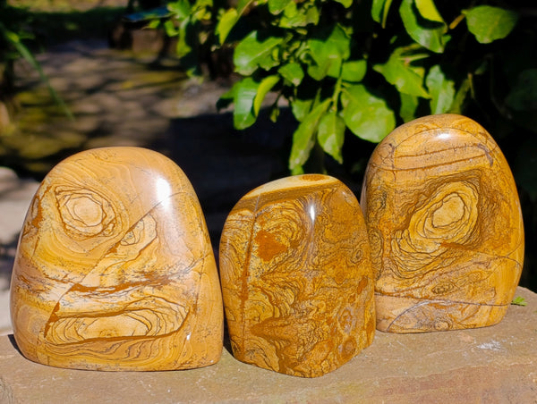 Polished Picture Stone Jasper Standing Free Forms x 3 From Ais-Ais, Namibia