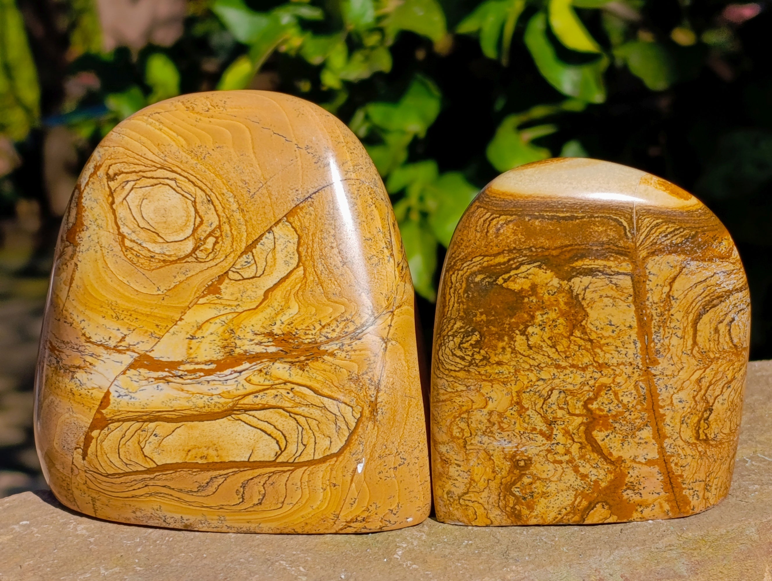 Polished Picture Stone Jasper Standing Free Forms x 3 From Ais-Ais, Namibia - Toprock Gemstones and Minerals 