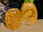Polished Picture Stone Jasper Standing Free Forms x 3 From Ais-Ais, Namibia - Toprock Gemstones and Minerals 