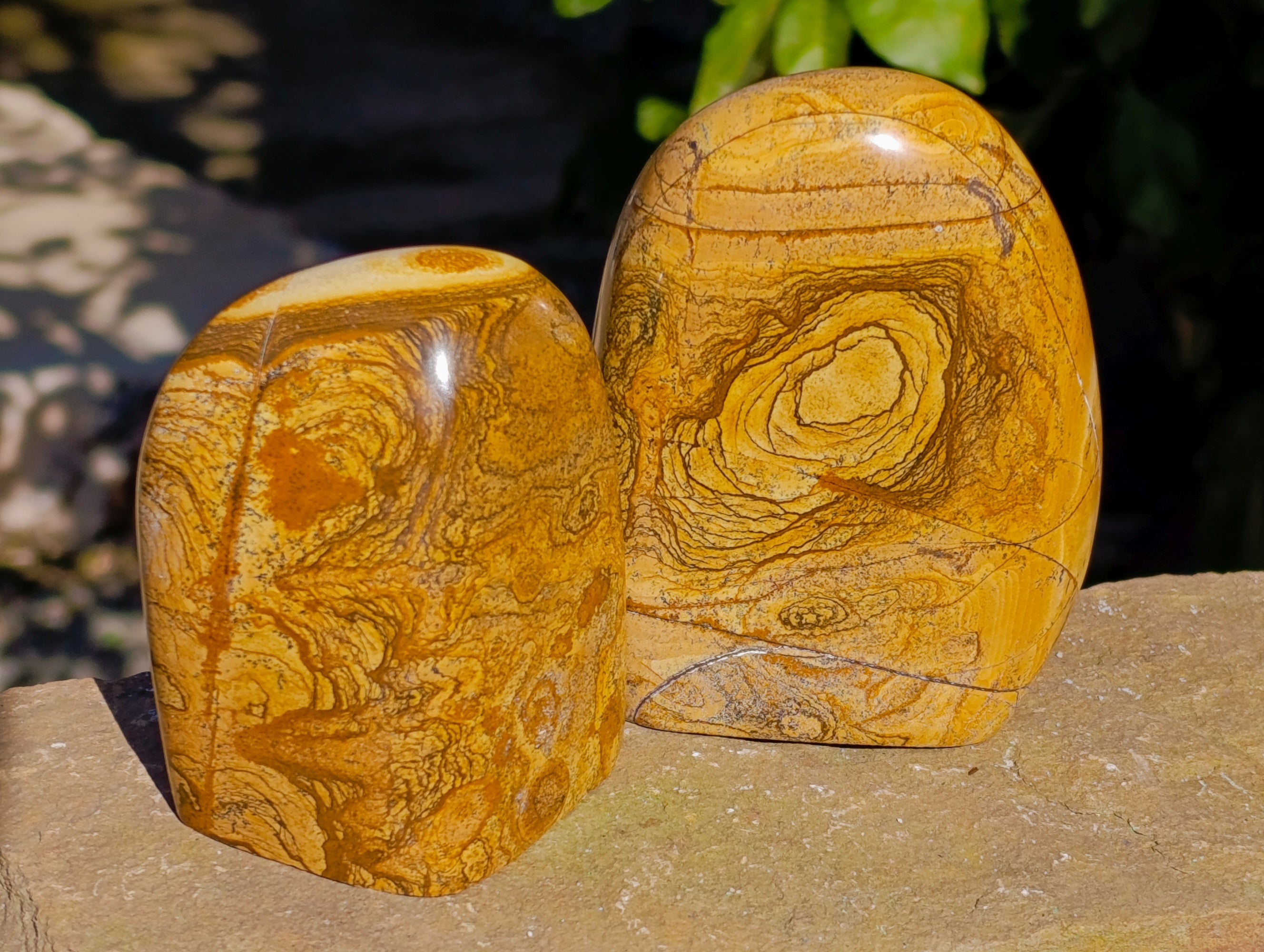 Polished Picture Stone Jasper Standing Free Forms x 3 From Ais-Ais, Namibia - Toprock Gemstones and Minerals 