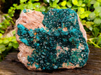 Natural Classic Large Dioptase On Dolomite Cabinet Specimen x 1 From Likasi, Congo - Toprock Gemstones and Minerals 