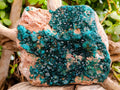 Natural Classic Large Dioptase On Dolomite Cabinet Specimen x 1 From Likasi, Congo - Toprock Gemstones and Minerals 