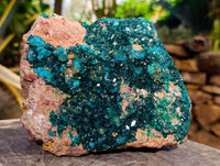 Natural Classic Large Dioptase On Dolomite Cabinet Specimen x 1 From Likasi, Congo