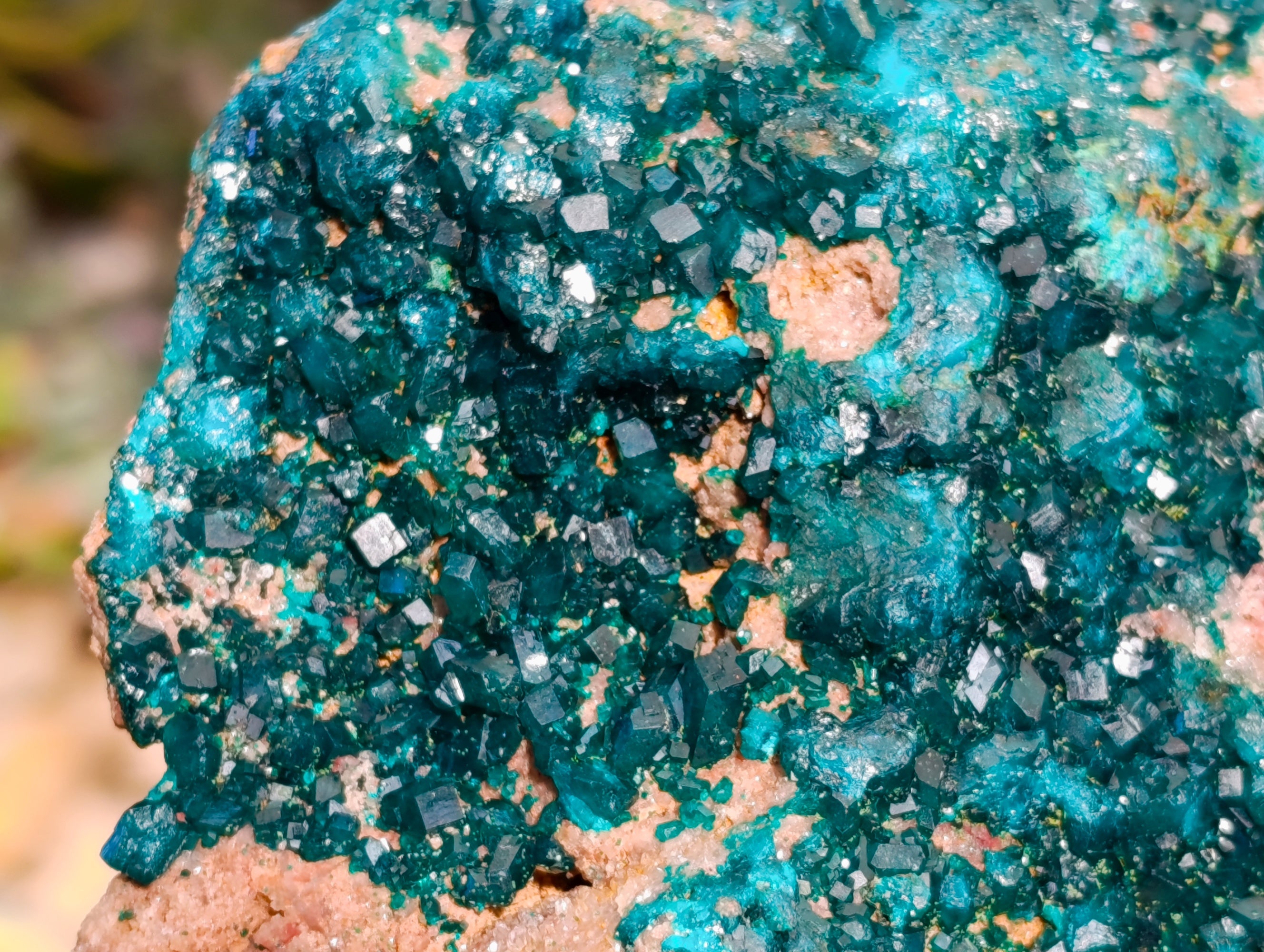 Natural Classic Large Dioptase On Dolomite Cabinet Specimen x 1 From Likasi, Congo - Toprock Gemstones and Minerals 