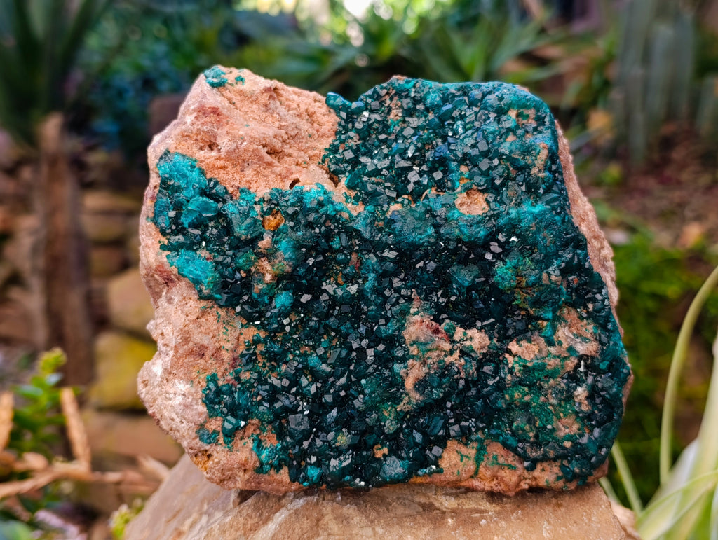 Natural Classic Large Dioptase On Dolomite Cabinet Specimen x 1 From Likasi, Congo - Toprock Gemstones and Minerals 