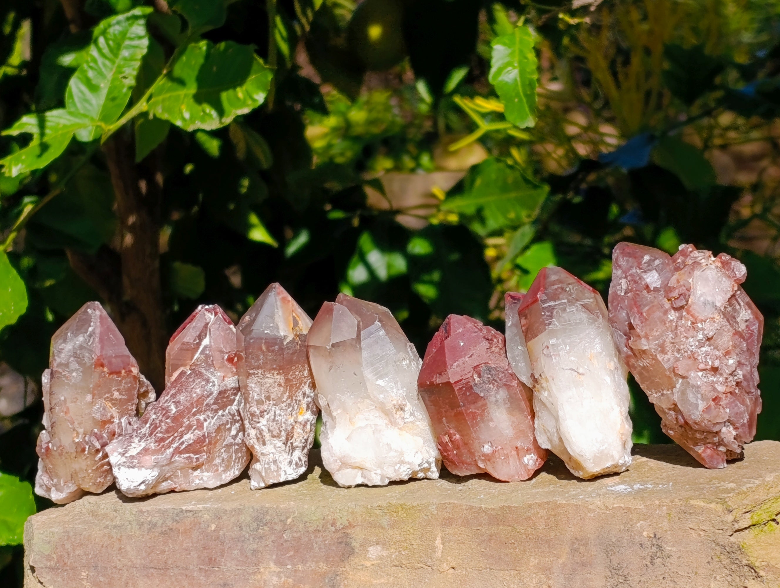 Natural Red Hematoid Quartz Clusters x 12 From Karoi, Zimbabwe - Toprock Gemstones and Minerals 