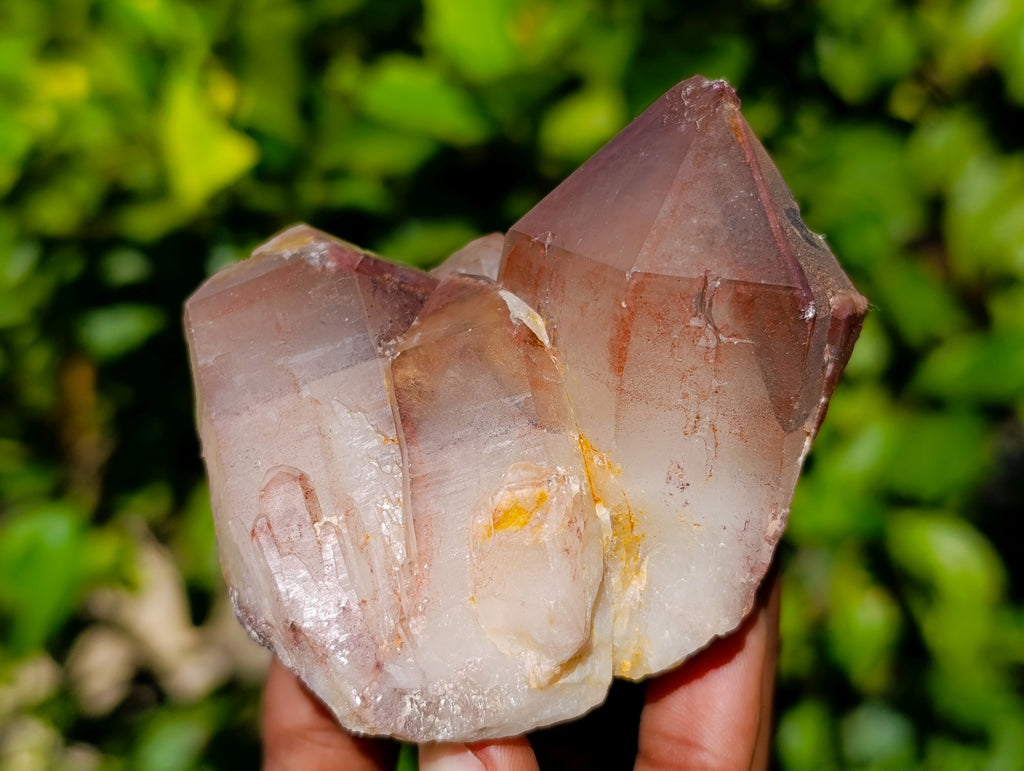 Natural Red Hematoid Quartz Clusters x 12 From Karoi, Zimbabwe - Toprock Gemstones and Minerals 